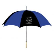 Promotional Custom Logo 48 Inch Fashion Automatic Open Umbrella with Wood Handle