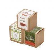 Custom Growables Planter in Kraft Gift Box