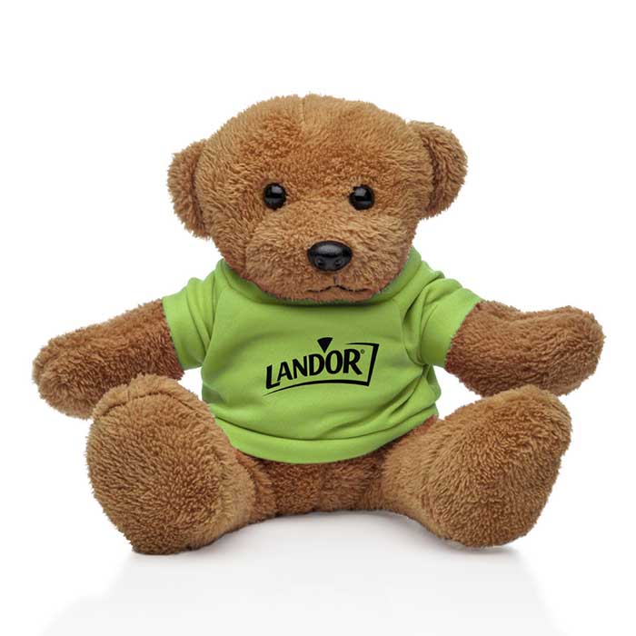 Custom Promotional Logo Theo Teddy Bear Stuffed Plush Toy 8.5 inch